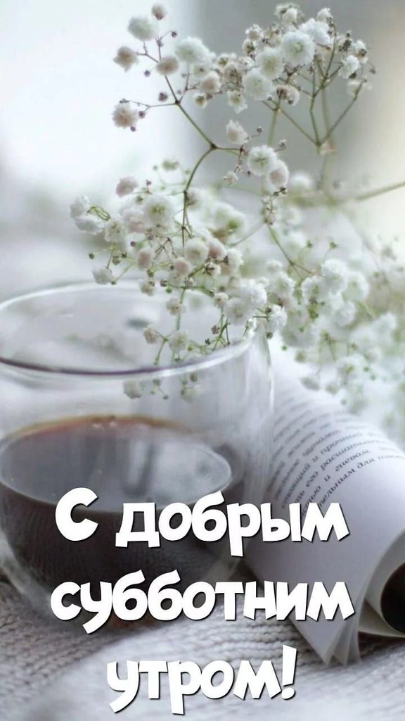 ��� ���� - 14 ����� 2026 � 11:26