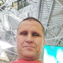 ���� �����, �����������, 48 ��� - ��������� 8 ������ 2024