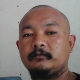 Martabakmini4545 Martabak, ��������, 43 ����