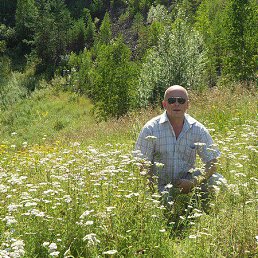 ���� ������, ������������ - ��������� 12 ����� 2026