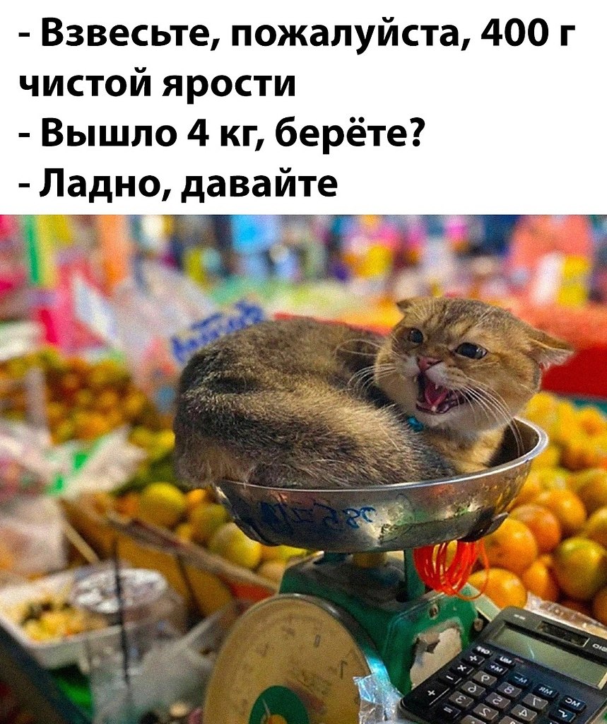    - 26  2025  00:43