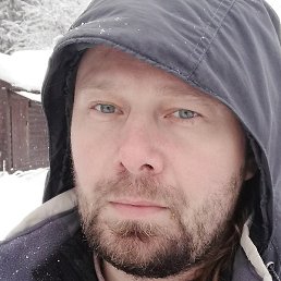 ����, �����-���������, 41 ���