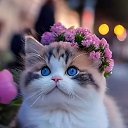 ���� ����, ����-��������� - ��������� 23 ������� 2026 � ������ ������ ��������