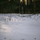 ���� �������, ������ - ��������� 17 �������� 2026 � ������ ������ ��������
