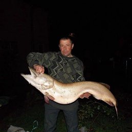 ������, �����, 56 ���