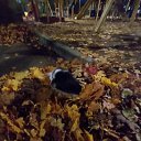 ���� ������, �����-��������� - ��������� 19 ������ 2023 � ������ ������ ��������