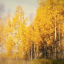 ���� �������, ������, 64 ���� - ��������� 7 ������� 2025 � ������ ������ ��������