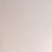 ������, 41 ���, �������