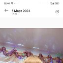 ���� ������, ������������, 61 ��� - ��������� 7 ������� 2026