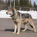 ���� ������, �����-��������� - ��������� 31 ������ 2025 � ������ ���� ����������