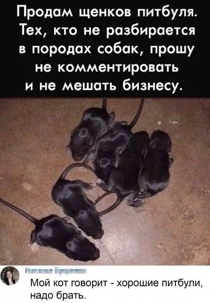 :)