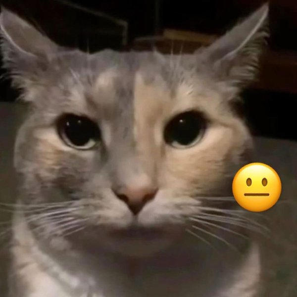 ����� ����� ������� ��? - 8