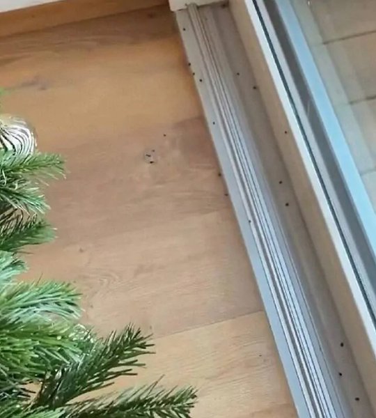 ��������� ������ ���� � ����������� ������ ����������� ���������� ������� ��������� ������ �������� ... - 3