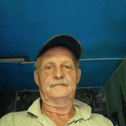 , 61, 
