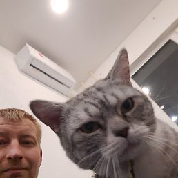 ����, �����, 38 ���