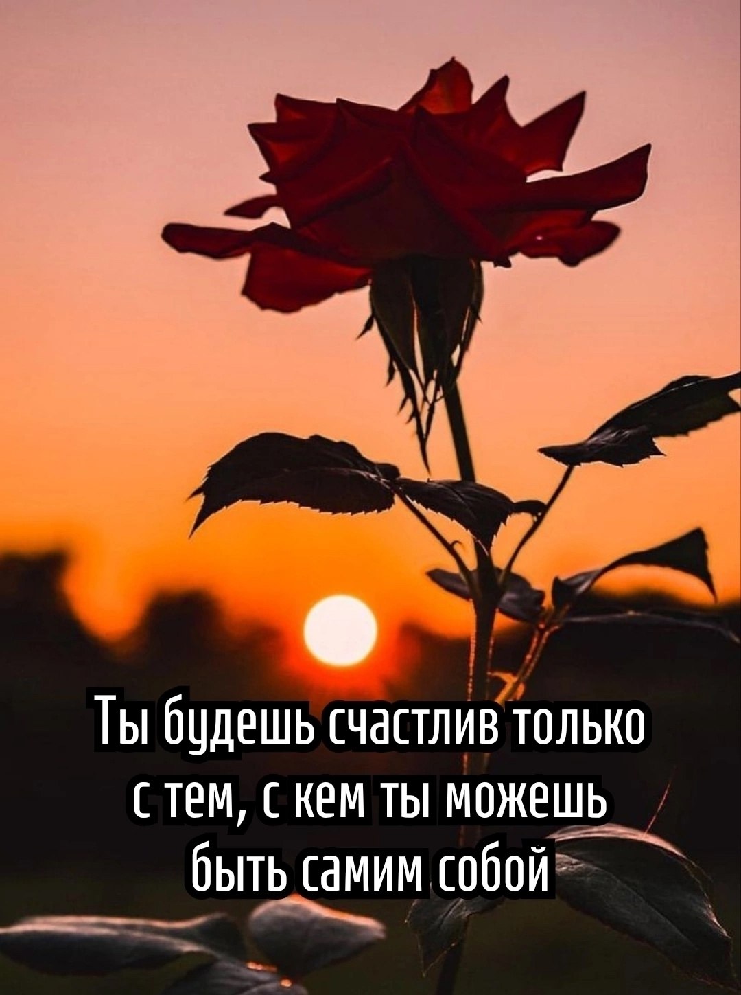  - 26  2025  08:53