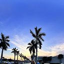 ���� Fortuna, ������ - ��������� 9 ������ 2024 � ������ ���� ����������