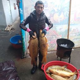 , 27, 