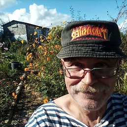 ��������, �����