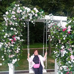 ����������, ������, 66 ���