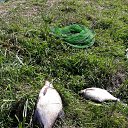 ���� Vlad, �������, 56 ��� - ��������� 6 ������� 2025 � ������ ���� ����������