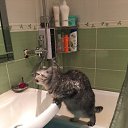 ���� ��������, ������� �����, 61 ��� - ��������� 25 ������ 2025 � ������ ������ ��������