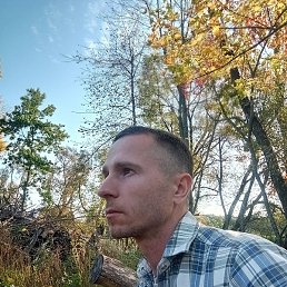 �������, ����, 36 ���