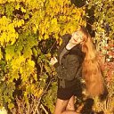 ���� �����, ���� - ��������� 26 ������� 2026 � ������ ���� ����������