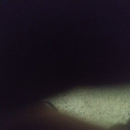 ������, �����, 37 ���