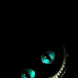 ����, ������, 38 ���