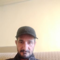 ���� �����, ������, 44 ���� - ��������� 7 ������ 2024