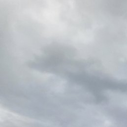 ���������, �����-���������, 50 ���