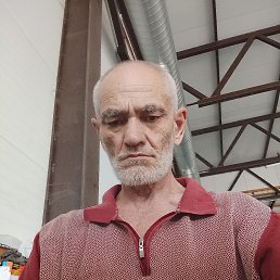, 56, 