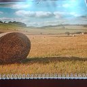 ���� Anatolii ����������, ���������, 69 ��� - ��������� 2 �������� 2025 � ������ ���� ����������