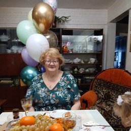 ����, ������������