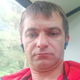 ������, �����-���������, 41 ���