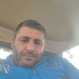  , 43 , 