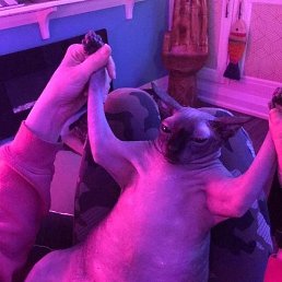 ����, ������, 45 ���