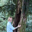 ���� ������, ����, 25 ��� - ��������� 8 ������ 2026 � ������ ���� ����������