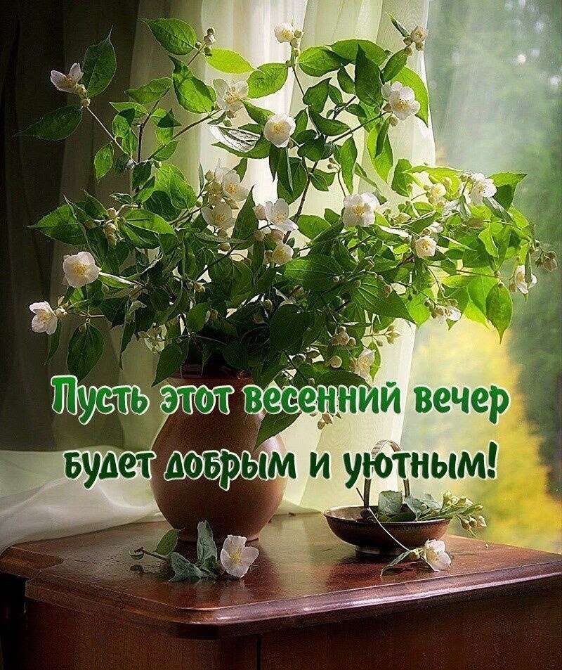 ����������� � ���������, �������� �� ������ ����. - 10 ��� 2026 � 17:15