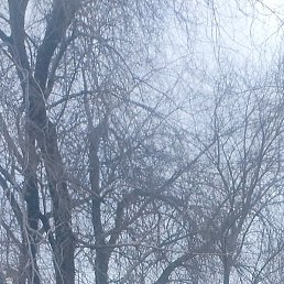 ����, ������, 64 ����