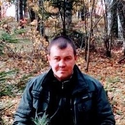 ����, �����, 43 ����