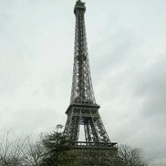 ���, 41 ���, ������