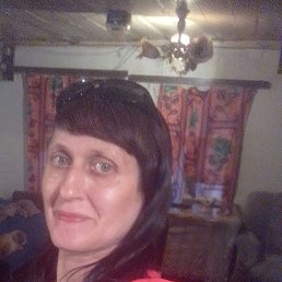 �������, 44 ����, ������