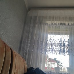 ���� ���������, ������, 55 ��� - ��������� 24 ������� 2024
