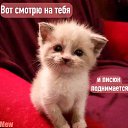 ���� ������, ������, 31 ��� - ��������� 23 ���� 2024 � ������ ���� ����������