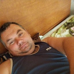 ���� ����, ��������, 43 ���� - ��������� 22 ������ 2025