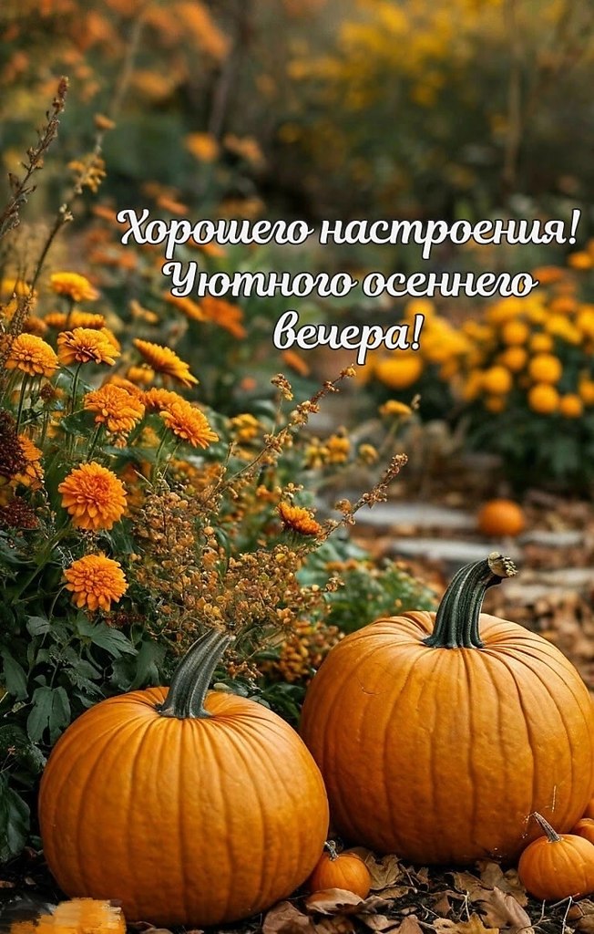   ,    . - 1  2025  16:50