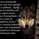���� ������, ������, 39 ��� - ��������� 25 ������� 2026 � ������ ���� ����������