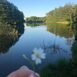 �������, ������